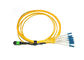 Norma a fibra ottica di Telcordia dei centri del cavo di toppa dello Mtp-Sc di Mpo di sblocco giallo 8 fornitore